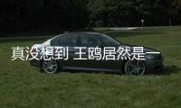 真没想到 王鸥居然是一位隐瞒的中古高手！