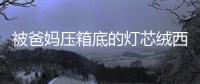 被爸妈压箱底的灯芯绒西装，又让何穗带火了！